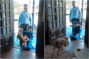 El reencuentro de la astronauta Christina Koch con su perrita tras la misión de Artemis II