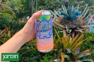 Cuál es la bebida saludable que promete reemplazar a la gaseosa