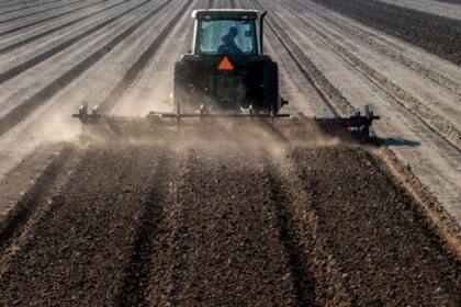 Kraft Heinz es uno de los mayores compradores de tomates del mundo y tuvo que lidiar con la reducción de las cosechas en Estados Unidos