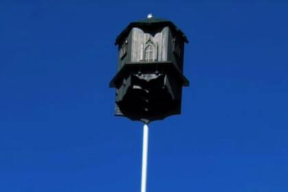 Kramer ideó una venganza poco convencional y construyó una casa para murciélagos en su jardín (TikTok: @Scottykfitness)