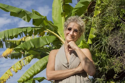 "Cajas chinas abre una puerta nueva para mí", asegura Kris Niklison