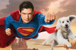 Así fue como Krypto, el compañero de Superman, disparó la adopción de perros en EE.UU.