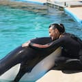 La cuidadora de la orca de Mundo Marino llora su muerte y se defiende de las críticas