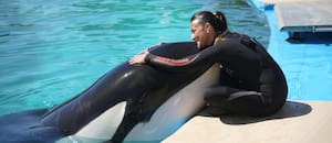 La cuidadora de la orca de Mundo Marino llora su muerte y se defiende de las críticas