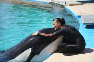 La cuidadora de la orca de Mundo Marino llora su muerte y se defiende de las críticas