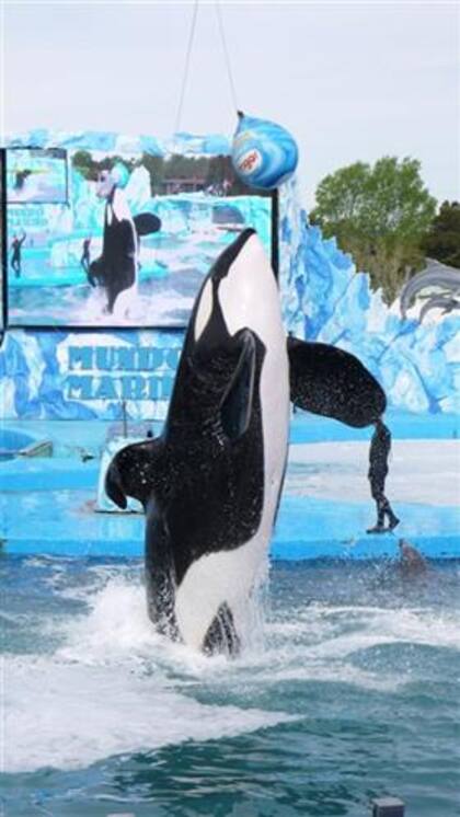 Kshamenk estuvo durante 33 años en este parque de atracciones de la Costa Atlántica