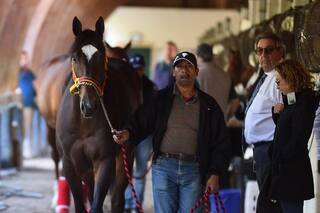 Pegasus World Cup: a un mexicano invicto lo creen el menos indicado para ganar