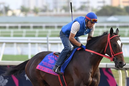 Kukulkan, con su galopador, vareando en el hipódromo de Hallandale Beach