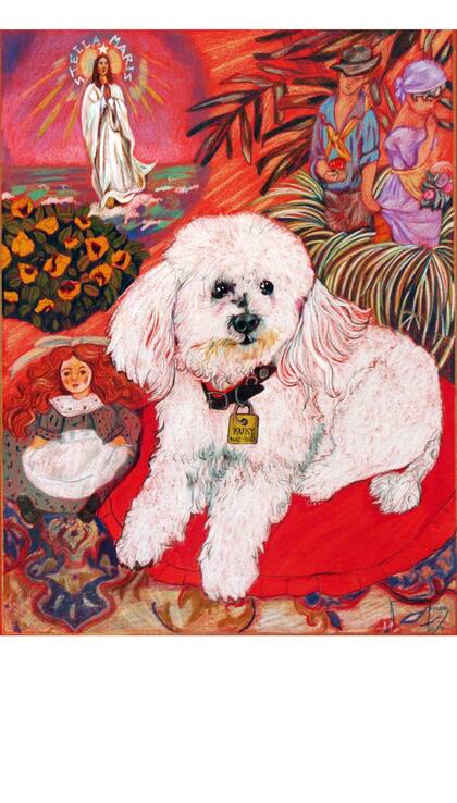 Kuky, 2012, Verónica Gómez