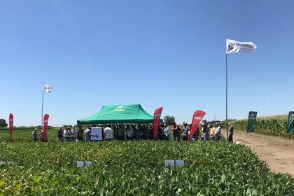 Es clave distinguir las situaciones de mayor probabilidad de respuesta y actuar oportunamente