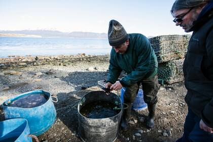 Humberto Parejas y sus mejillones