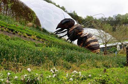 La abeja polinizadora es una escultura de gran tamaño. Está rodeada por una gran número de especies de flores que necesitan de su ayuda para reproducirse