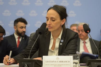 La abogada Luciana Carrasco, jefa de gabinete del Ministerio de Defensa, al presentarse en la Cámara de Diputados