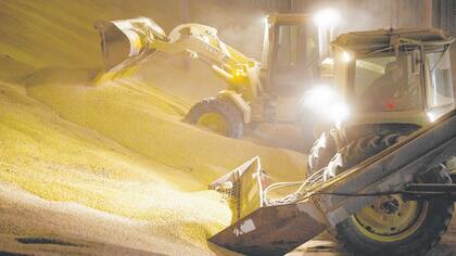 La abundancia de cultivos ha llevado a algunos agricultores de EE.UU. a construir instalaciones de almacenamiento adicionales.