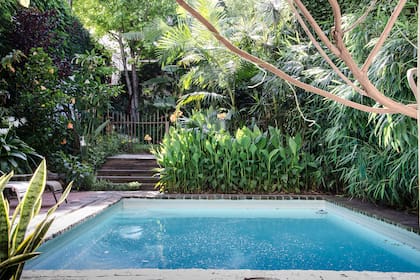 La abundancia de plantas combinada con el espejo de agua de la piscina le da al parque un toque de misterio.