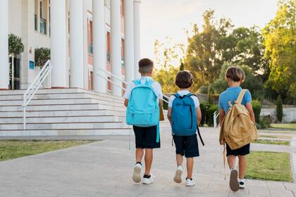 La ACLU aconseja a que laas escuelas consulten con su asesor legal y desarrollen un plan coordinado en caso de que el ICE se presente