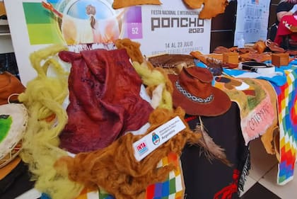 La actividad del grupo sirvió para que se desarrolle una cadena de valor del cuero de cabrito que potencia el trabajo de las mujeres del territorio. Compran la mayor cantidad de cueros a 40 productoras, repartidas en los departamentos Capayán, La Paz, Tinogasta y Antofagasta de la Sierra