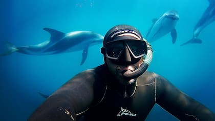 “La actividad dura 45 minutos y está monitoreada por guardafaunas. Existe un sistema de boyas a 70 y 50 metros de la costa que delimita las áreas permitidas para embarcaciones y nadadores”, detalla Natale