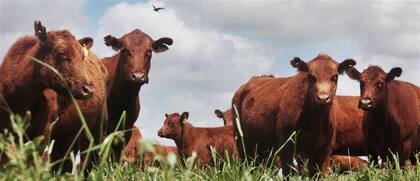 La actividad tiene nuevos desafíos por delante: la calidad es uno de ellos