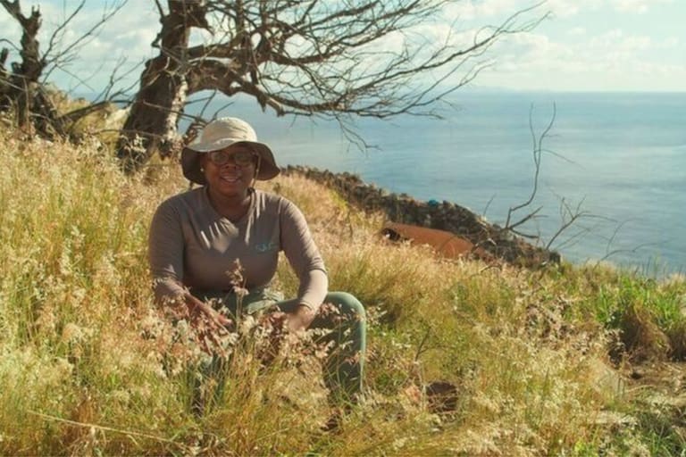 An island that was “dry as the moon” 7 years ago is now an example of ecological recovery An island that was “dry as the moon” 7 years ago is now an example of ecological recovery