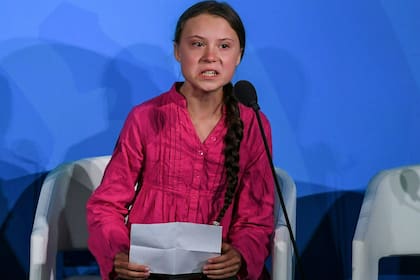 Cambio climático: la respuesta del Gobierno tras la denuncia de Greta Thunberg a la Argentina