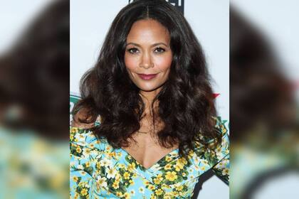 La actriz decidió abandonar el proyecto (Foto Instagram @tandienewtonfc)