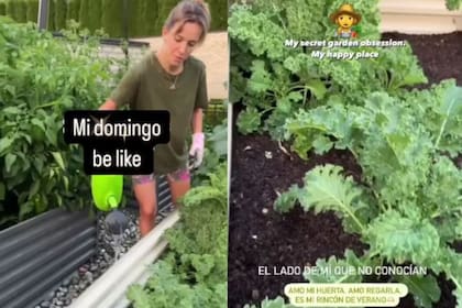 La actriz mostró su huerta y sorprendió a sus seguidores (Foto: Instagram @luisanalopilato)