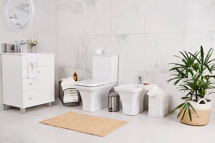 La acumulación de bacterias y moho es muy común en el baño, especialmente en el drenaje y en la taza del inodoro, donde puede acumular humedad