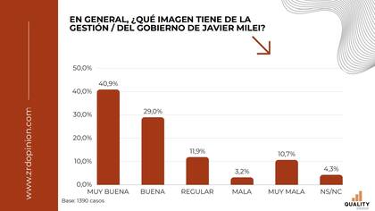 La administración de Milei mantiene un alto nivel de aprobación entre los ciudadanos que radican fuera del país
