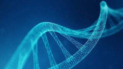 La adrenoleucodistrofia es una enfermedad genética rara que afecta a uno de cada 15.000 a 20.000 nacimientos y puede avanzar rápidamente en niños que hasta entonces tenían un desarrollo normal