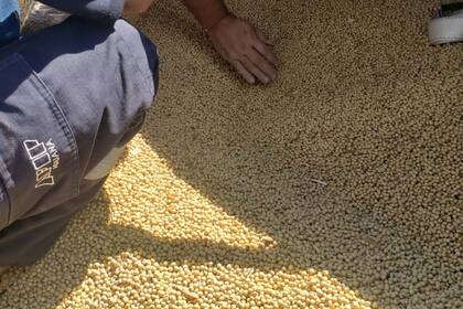 La Aduana informó que multó a dos de las siete firmas investigadas