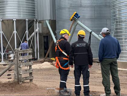 La AFIP detectó unas 4560 toneladas de granos destinadas al consumo animal sin la documentación respaldatoria correspondiente, por un valor estimado de $162 millones