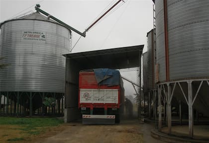 "La permanencia de estos contribuyentes en el régimen estará condicionada a la conservación de sus respectivas categorías como operadores en la cadena de comercialización de granos”, dijeron en un comunicado