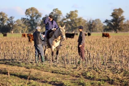 La agricultura apoya a la ganadería
