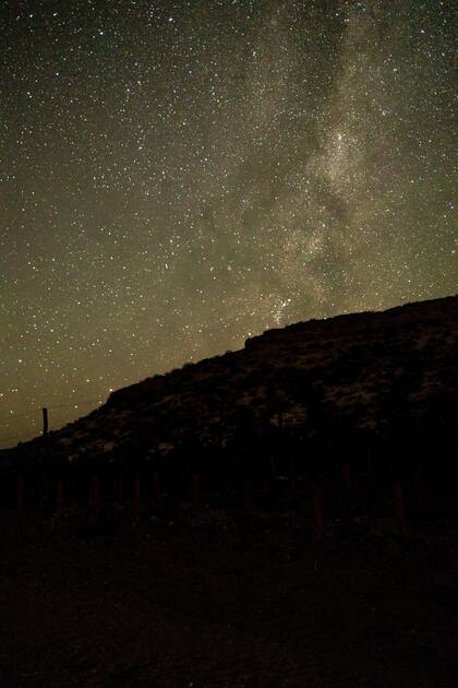 La agricultura biodinámica se rige por los ciclos del sol y la luna FOTO: una noche en Valle Azul, Río Negro, Patagonia Argentina