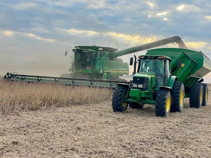 La agricultura comprende 1000 hectáreas de trigo y 300 hectáreas de cebada forrajera que se utiliza para el consumo interno y venta. También se siembra centeno y avena para obtener semilla para los verdeos de invierno