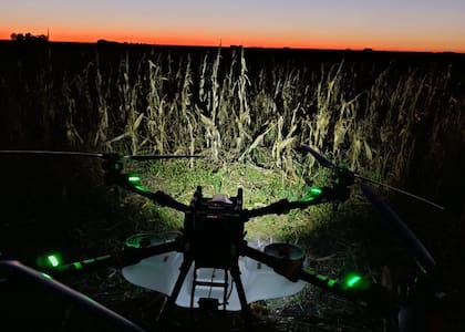 La agricultura digital no reemplaza al talento humano: lo amplifica