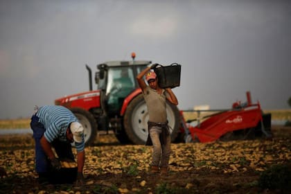 La agricultura murciana depende de la mano de obra migrante