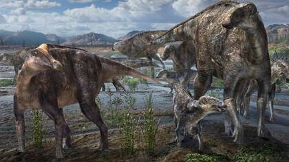 La Alaska del Cretácico tardío fue el hogar de dinosaurios con pico de pato, herbívoros con miles de dientes rechinantes