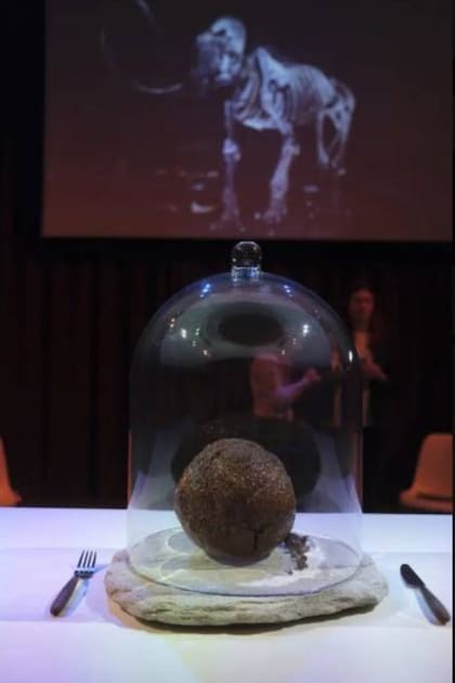 La albóndiga fue realizada con ADN de mamut, al que se le añadió ADN de elefante africano y finalmente la combinación se puso en células madre de oveja, que al multiplicarse generaron un trozo de carne para hacer el bocadillo