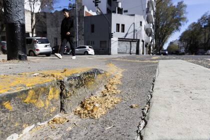 “La alergia al plátano se debe al polen. La pelusa que suelta el fruto puede irritar ojos y vías respiratorias, pero eso no es una alergia, irrita a todos por igual”, explican los especialistas.