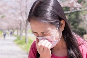 ¿Qué tiene que ver la Segunda Guerra Mundial con la crisis de alergia en Japón que empeora cada vez más?
