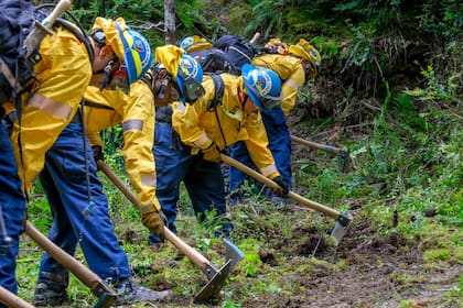 La alianza entre el CCC y Cal Fire existe desde 2018 y ya generó 1000 nuevos empleos entre contrataciones anuales y estacionales en California