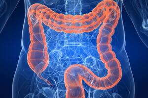 La alimentación es una de las principales claves para la prevención de enfermedades en el colon