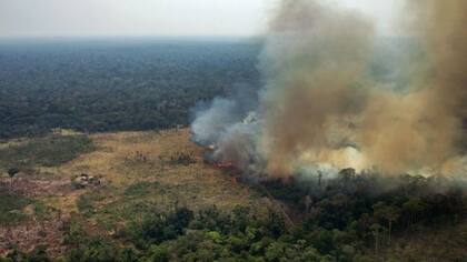 Los incendios en el Amazonas llamaron la atención de la población mundial este año