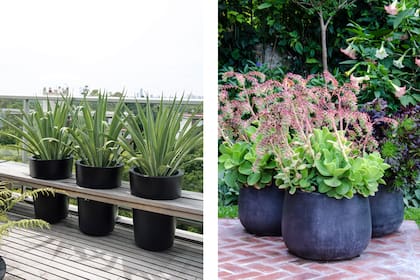 La amplia variedad de macetas disponibles en el mercado nos permite jugar con el diseño, combinar con el espacio, sectorizar y cubrir vistas indeseables.