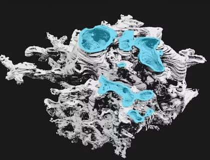 La anatomía interna de Prototaxites taiti consistía en tubos entrelazados que se unían en regiones de ramificación altamente complejas. La compleja estructura tridimensional de estas regiones se reveló mediante microscopía confocal de barrido láser. Foto: Laura Cooper/Universidad de Edimburgo.