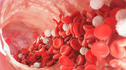 La anemia se define como la falta de glóbulos rojos o hemoglobina, la proteína que transporta el oxígeno a los tejidos