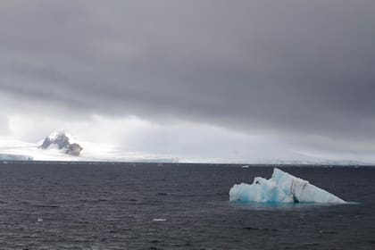 La Antártida cubre una superficie aproximada de unos 14.000.000 km2