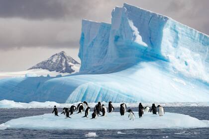 La Antártida ofrece una experiencia diferente.